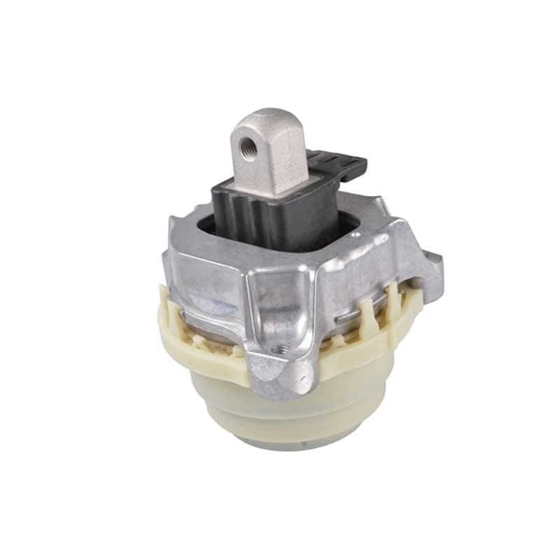 TEDGUM variklio montavimas TED43714