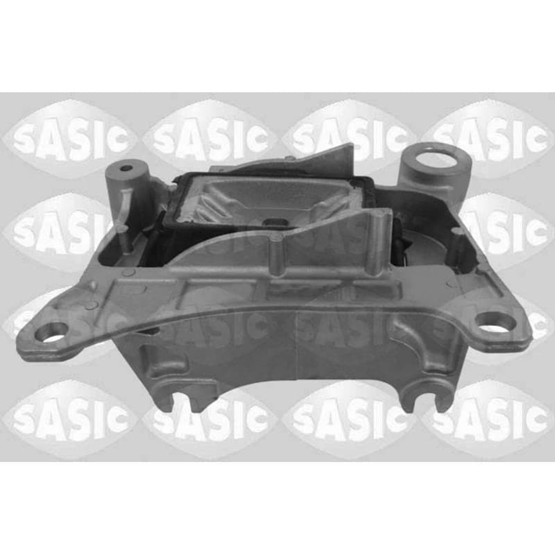 SASIC variklio montavimas 2704076