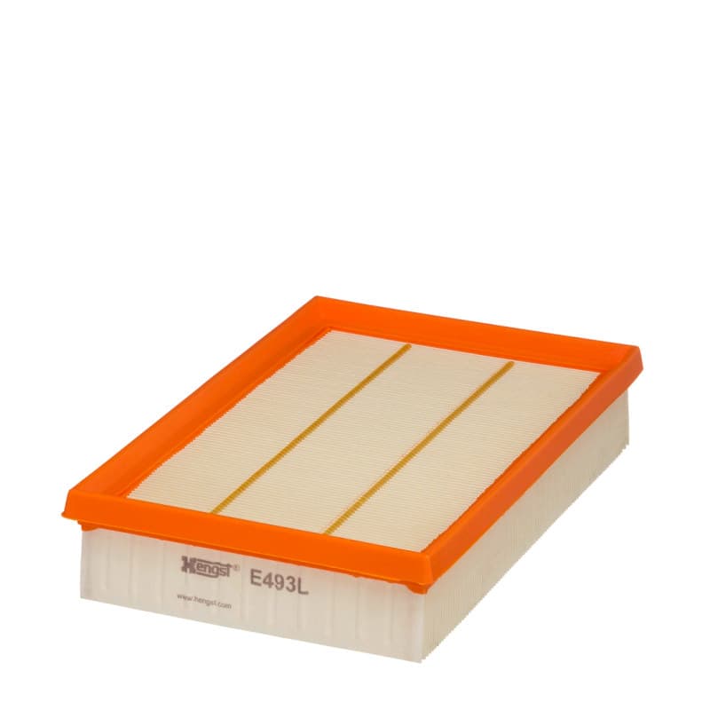 HENGSTFILTER oro filtras E493L