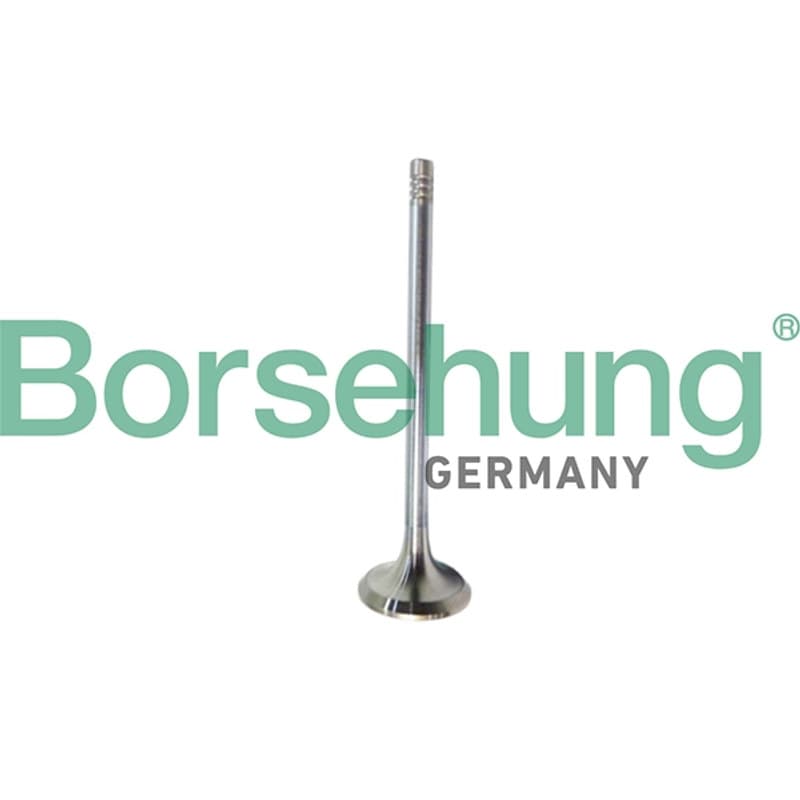 BORSEHUNG angos vožtuvas B10321