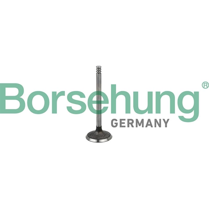 BORSEHUNG įvado vožtuvas B19029
