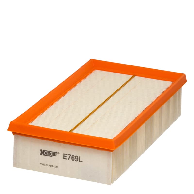 HENGSTFILTER Oro filtras E769L