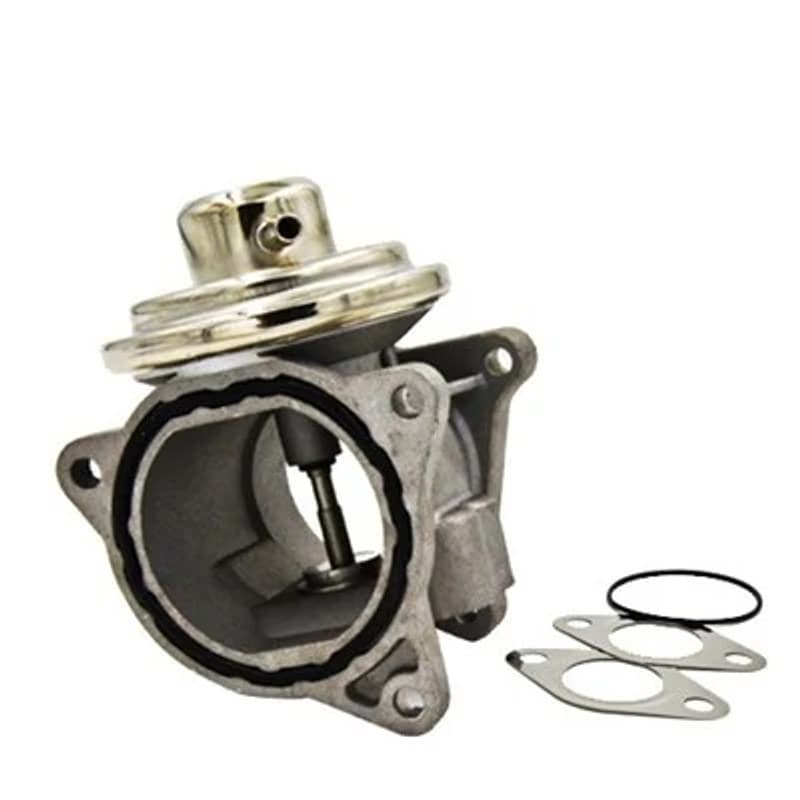 MAGNETIMARELLI ERG vožtuvas 571822112045
