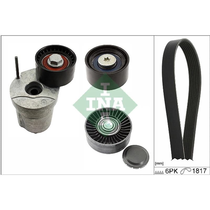 SCHAEFFLERINA V formos rumbuotas diržas, komplektas 529 0368 10