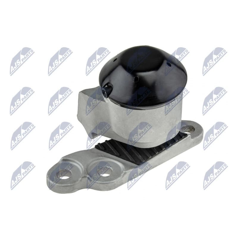 NTY variklio montavimas ZPS-FR-053