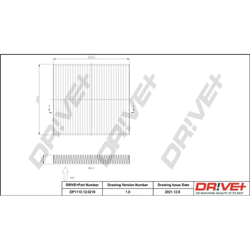 DRVE filtras, salono oras DP1110.12.0219