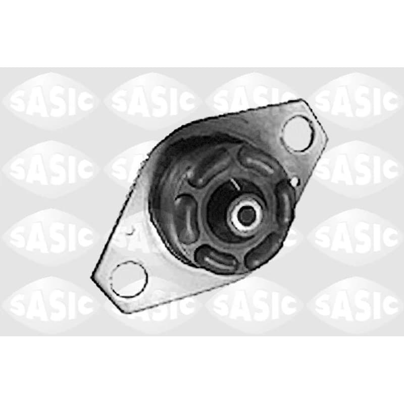 SASIC variklio montavimas 9001317