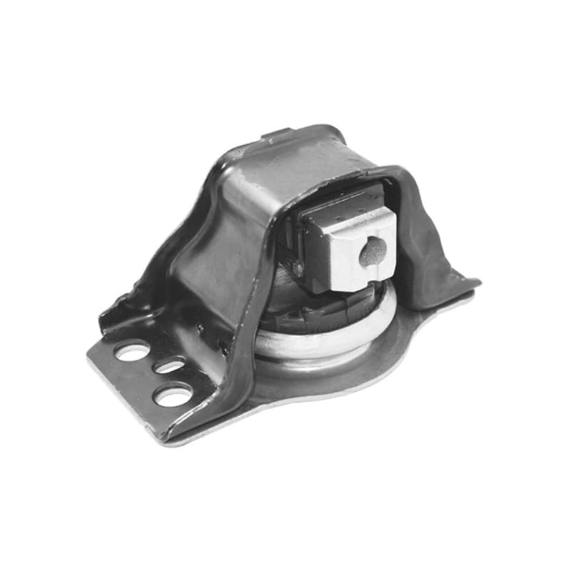 TEDGUM variklio montavimas TED37004