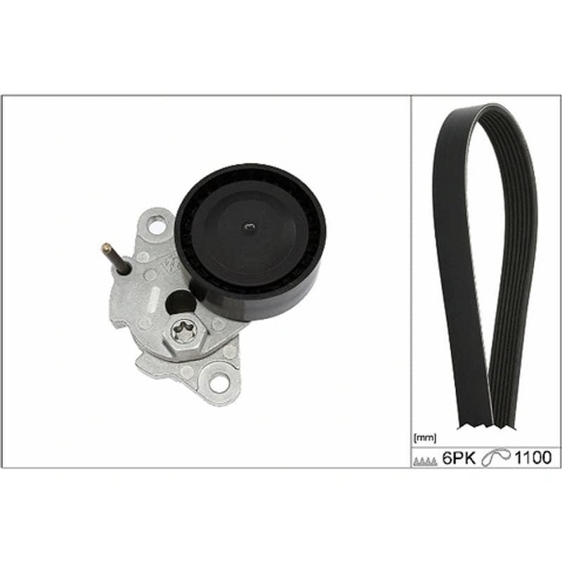 SCHAEFFLERINA V formos rumbuotas diržas, komplektas 529 0085 10