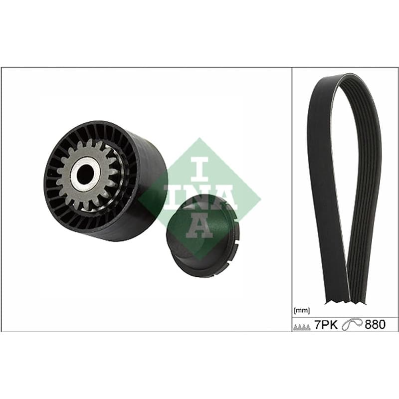 SCHAEFFLERINA V formos rumbuotas diržas, komplektas 529 0318 10