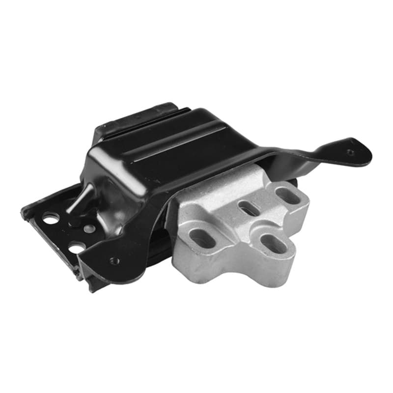 TEDGUM variklio montavimas TED36076