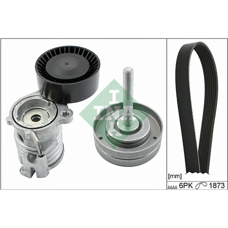 SCHAEFFLERINA V formos rumbuotas diržas, komplektas 529 0090 10