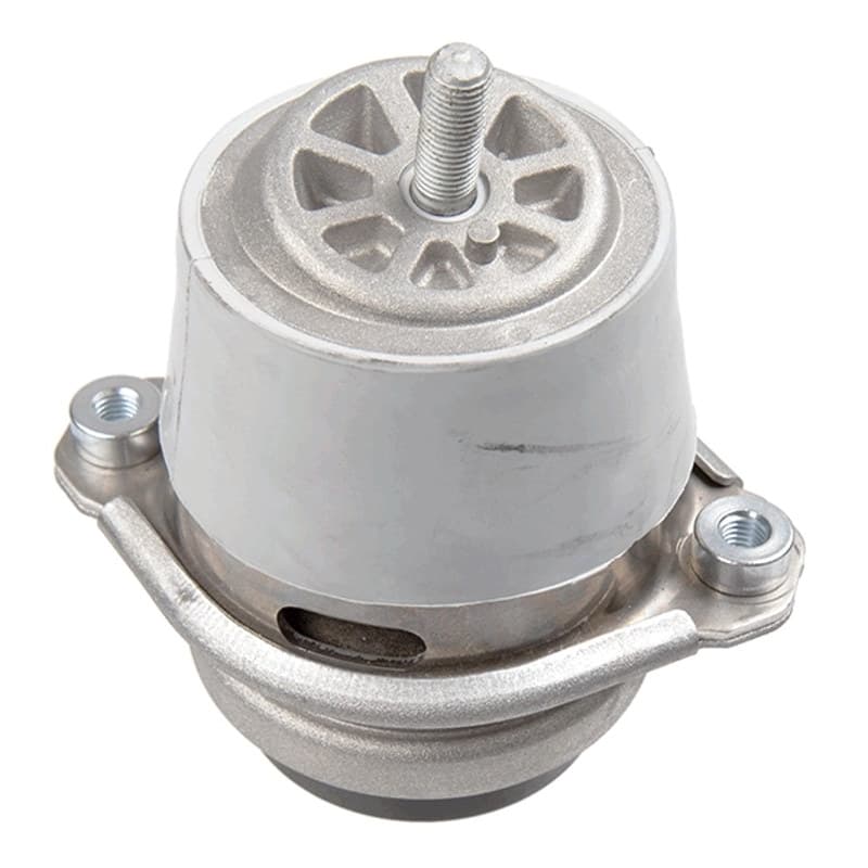 LEMFRDER variklio montavimas 42805 01