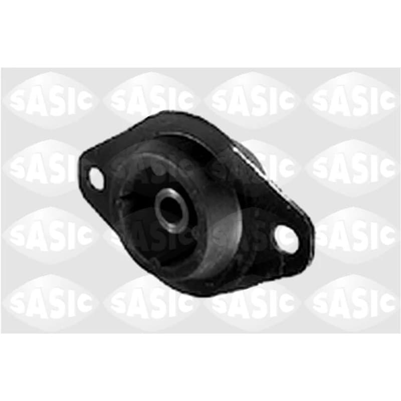 SASIC variklio montavimas 4001319
