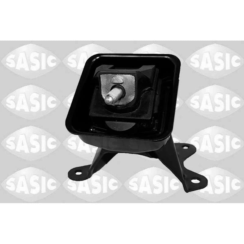 SASIC variklio montavimas 2706382