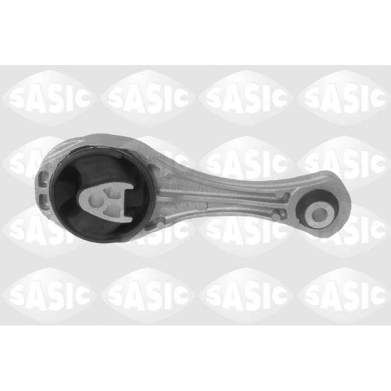 SASIC variklio montavimas 2704036