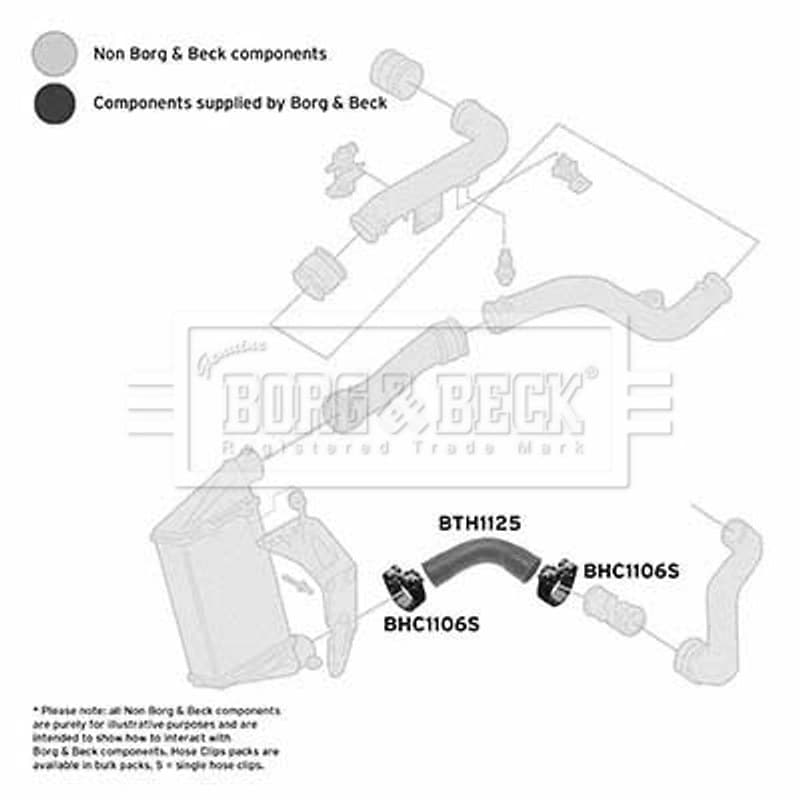 BORGBECK kompresoriaus padavimo žarna BTH1125