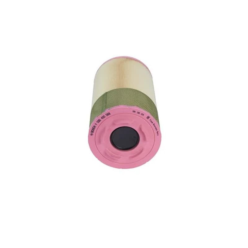 BOSCH F 026 400 068 oro filtras