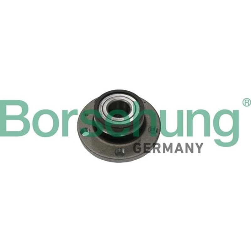 BORSEHUNG rato guolio komplektas B11289