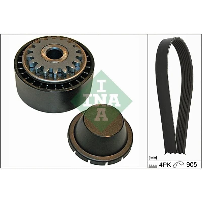 SCHAEFFLERINA V formos rumbuotas diržas, komplektas 529 0174 10
