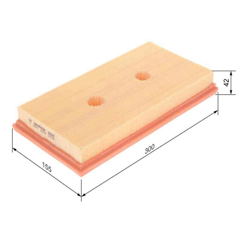 BOSCH 1 457 433 315 oro filtras