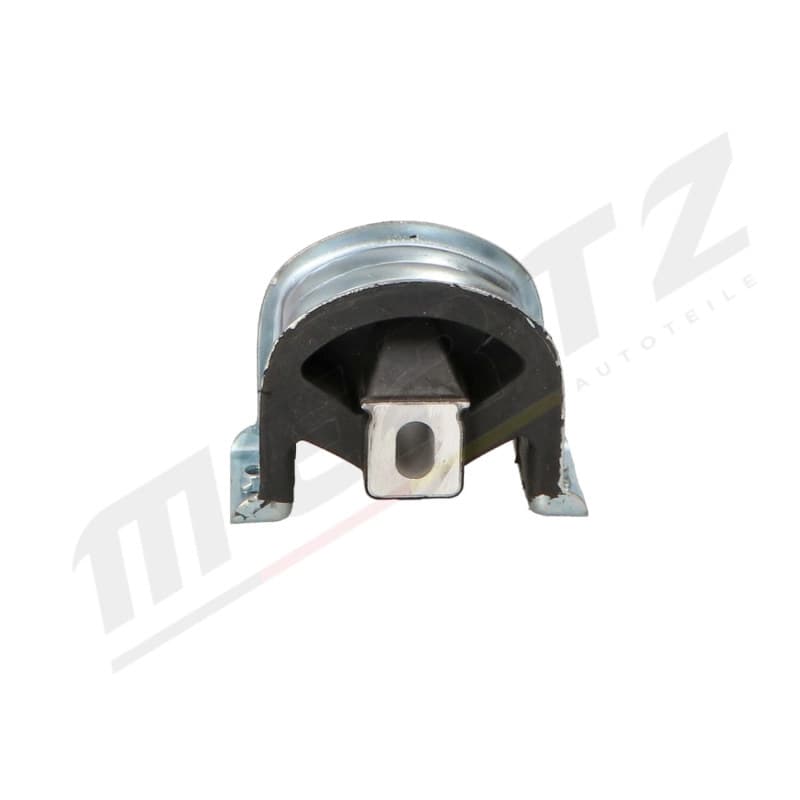 MERTZ variklio montavimas M-S4973