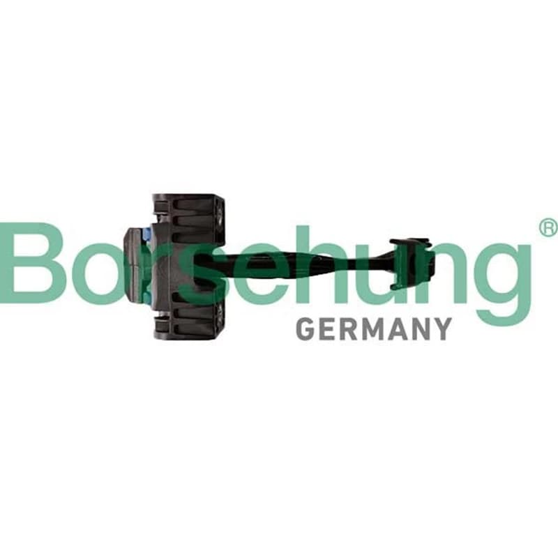 BORSEHUNG durų sklendė B12371