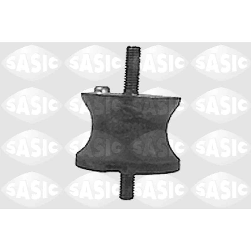 SASIC variklio montavimas 9001410