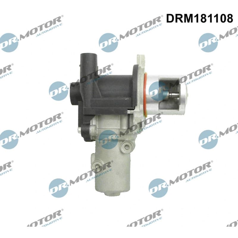 DRMOTORAUTOMOTIVE ERG vožtuvas DRM181108