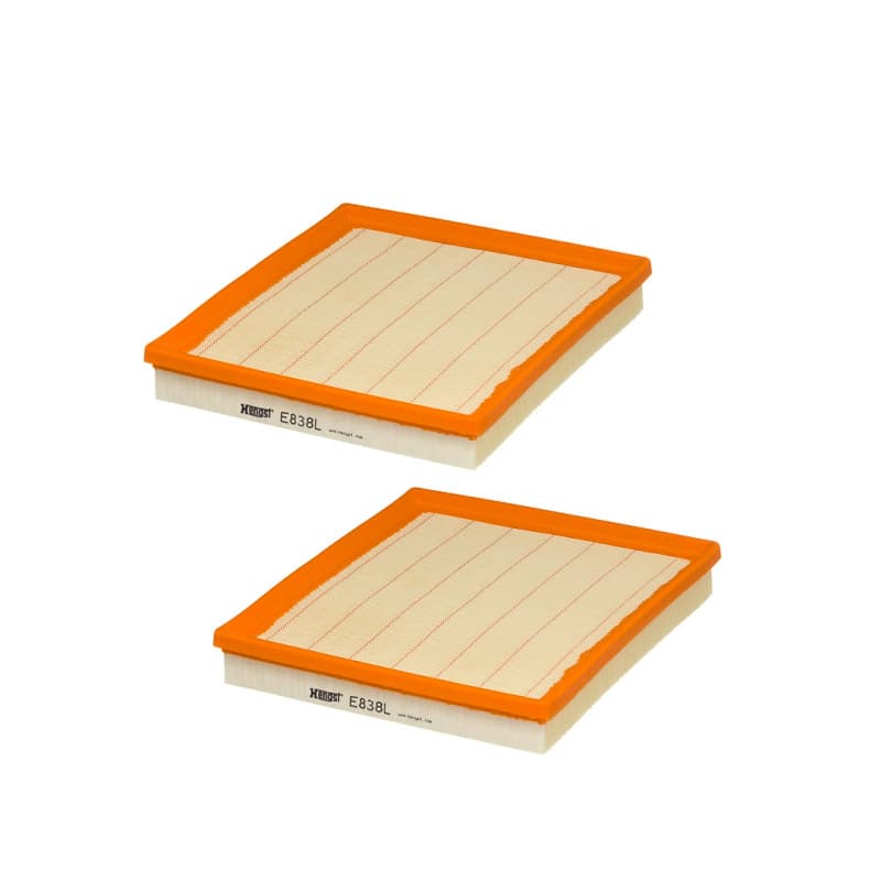 HENGSTFILTER oro filtras E838L-2
