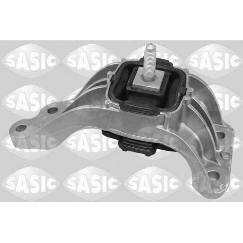 SASIC variklio montavimas 2706232