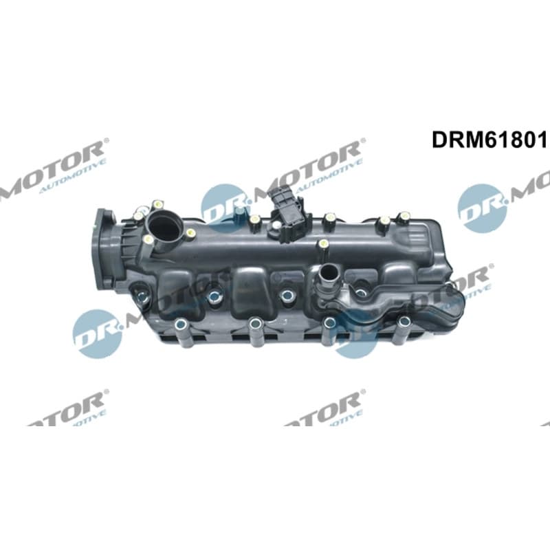DRMOTORAUTOMOTIVE įsiurbimo kolektoriaus modulis DRM61801