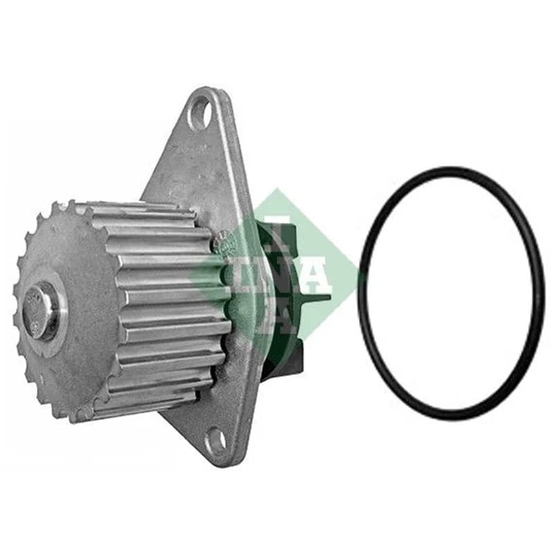 SCHAEFFLERINA Vandens siurblys, variklio aušinimas 538 0009 10