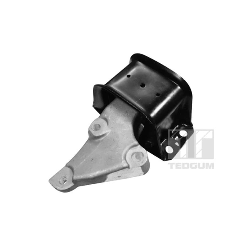 TEDGUM variklio montavimas 00516309