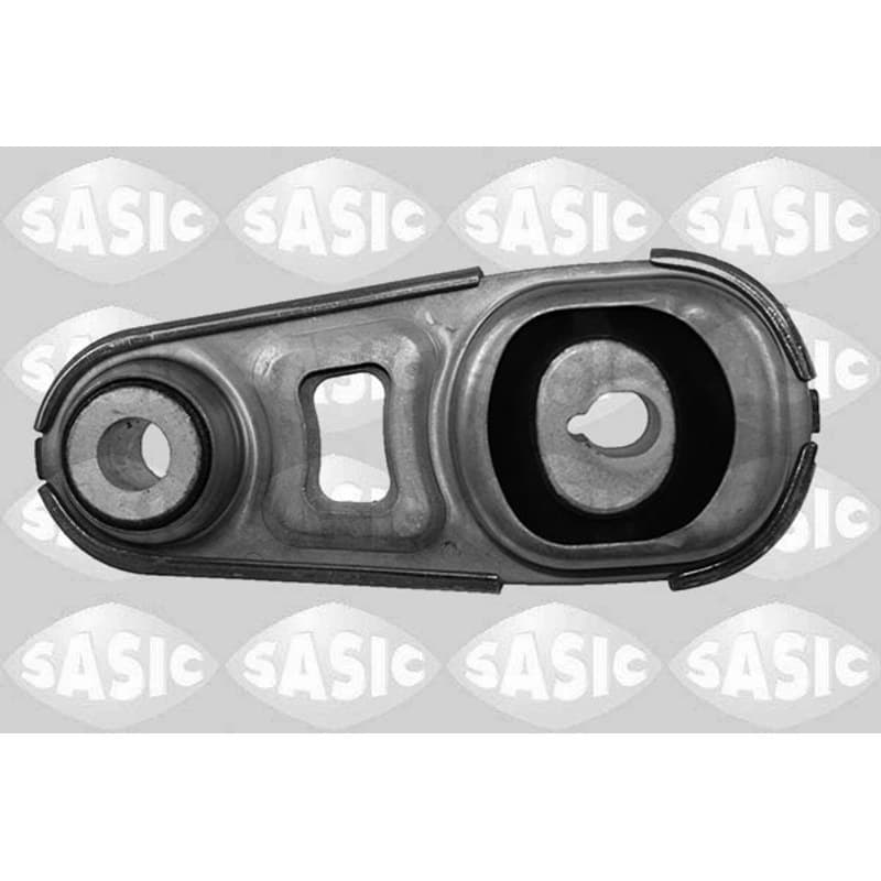 SASIC variklio montavimas 2704115