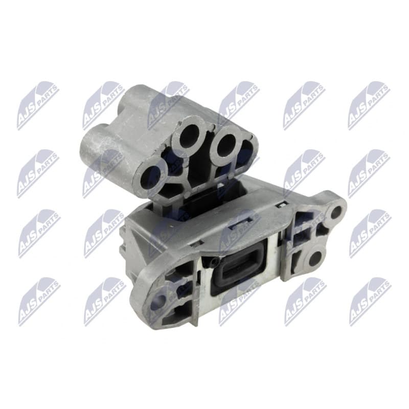 NTY variklio montavimas ZPS-CH-134