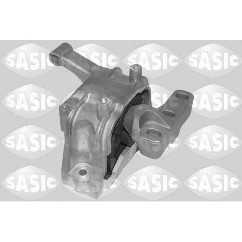 SASIC variklio montavimas 2706664
