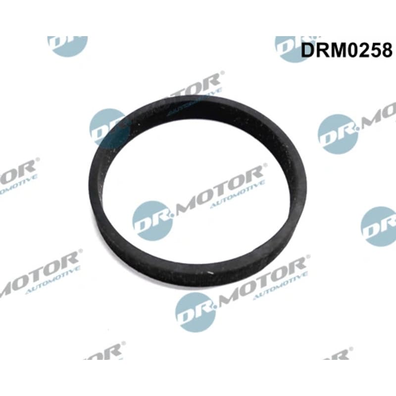 DRMOTORAUTOMOTIVE tarpiklis, turbinos įvadas (piltuvas) DRM0258