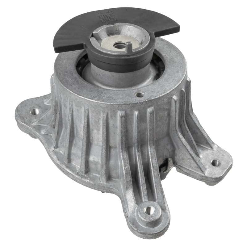 LEMFRDER variklio montavimas 45363 01