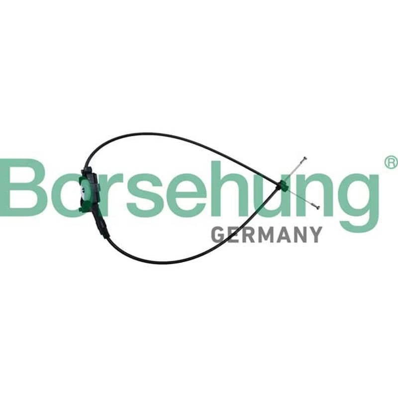 BORSEHUNG gaubto trosas B10781