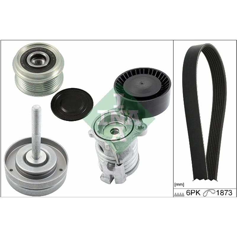 SCHAEFFLERINA V formos rumbuotas diržas, komplektas 529 0090 20