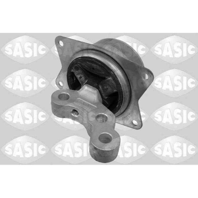 SASIC variklio montavimas 2706248