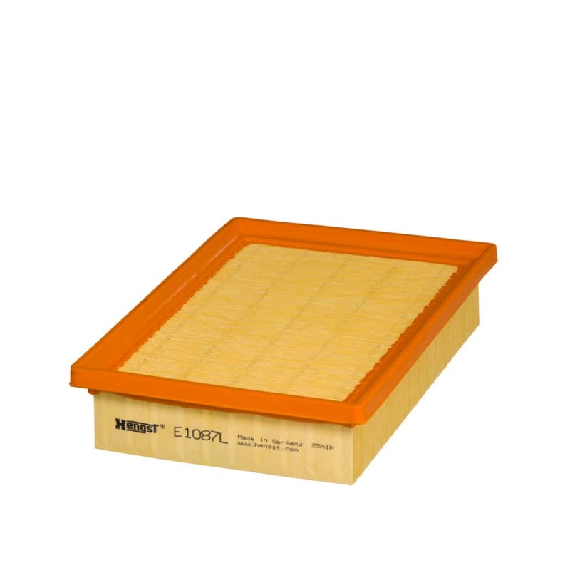HENGSTFILTER oro filtras E1087L