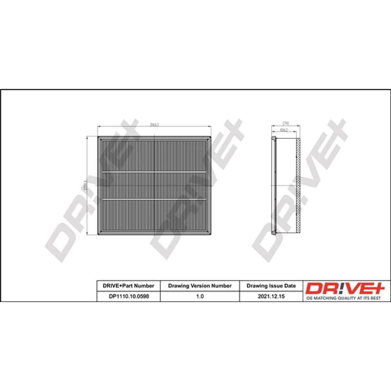 DRVE oro filtras DP1110.10.0598