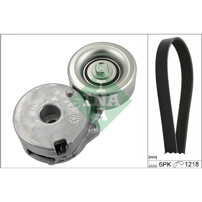 SCHAEFFLERINA V formos rumbuotas diržas, komplektas 529 0225 10