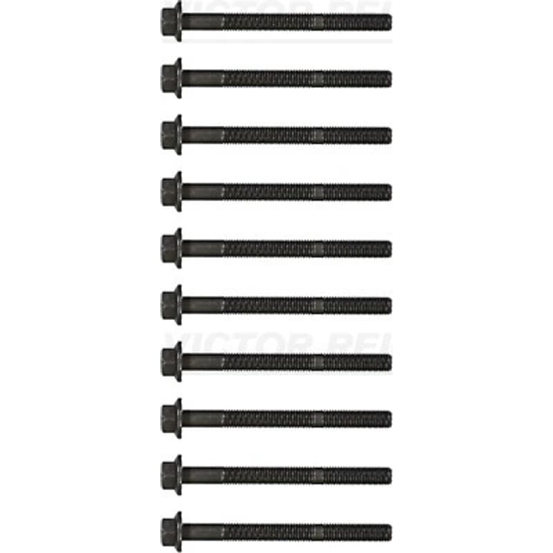 VICTORREINZ varžtų kompl., cil. galvutės varžtai 14-32093-01