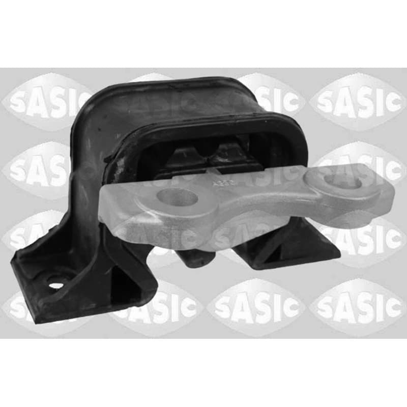 SASIC variklio montavimas 2706240