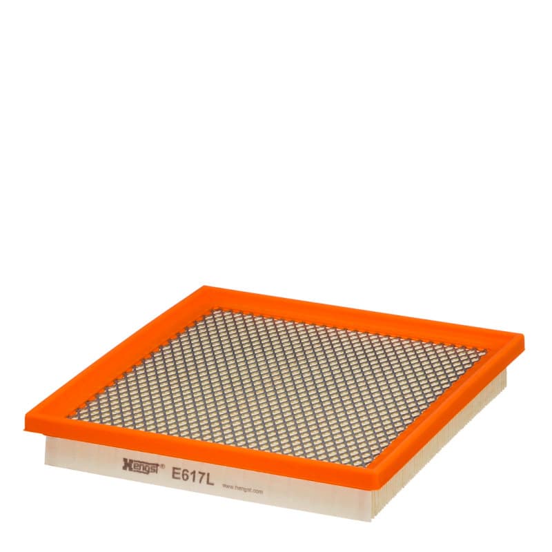 HENGSTFILTER Oro filtras E617L