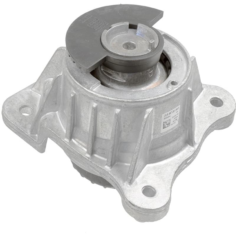 LEMFRDER variklio montavimas 39737 01
