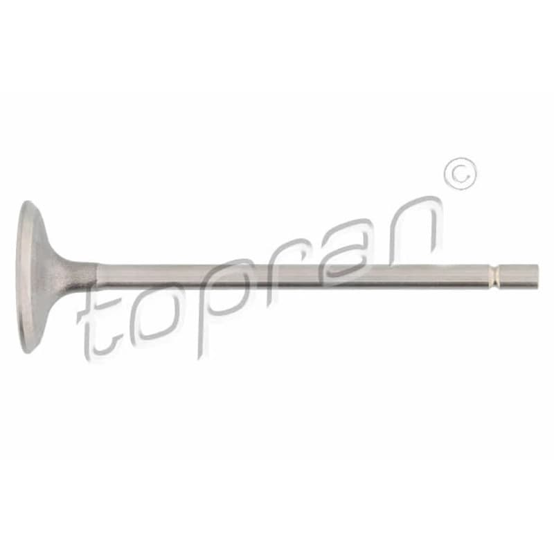 TOPRAN 700 653 įvado vožtuvas